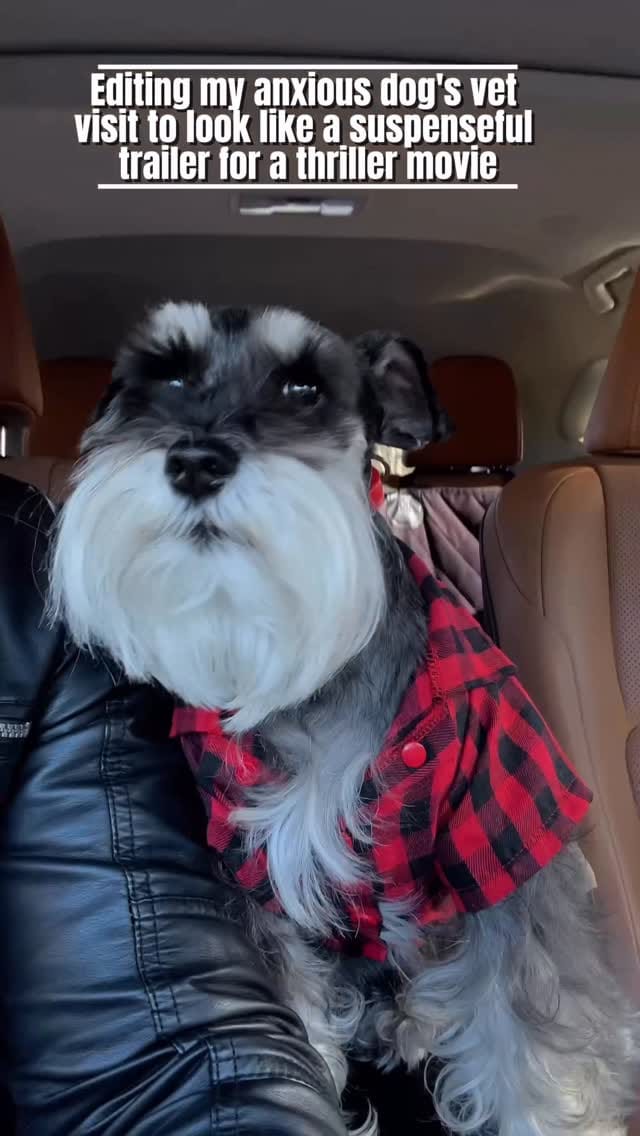 Post 1 by Goby on Instagram (video)