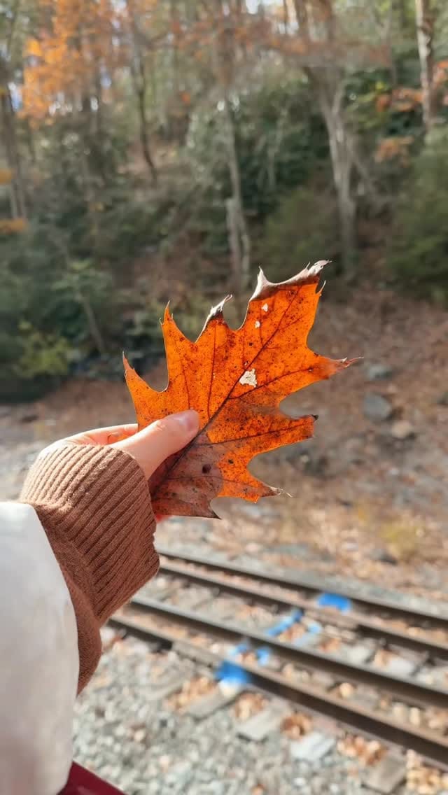 Post 2 by Brenda Sarmanho Hicks on Instagram (video)