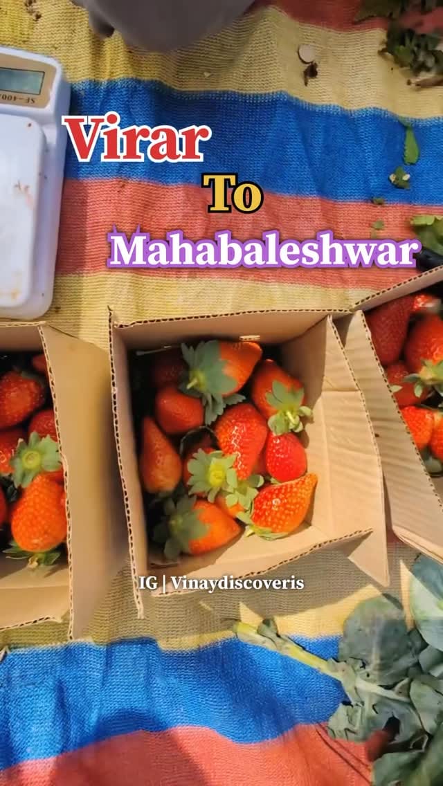 Post 10 by Vinay on Instagram (video)