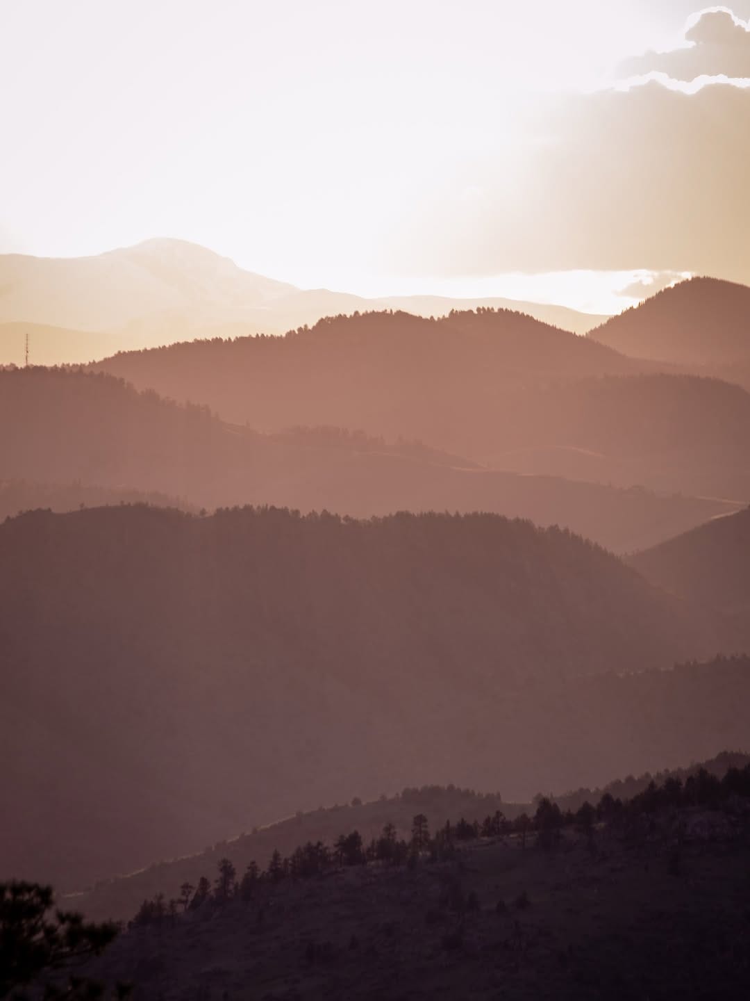 Post 6 by Nate Wickham on Instagram (image)