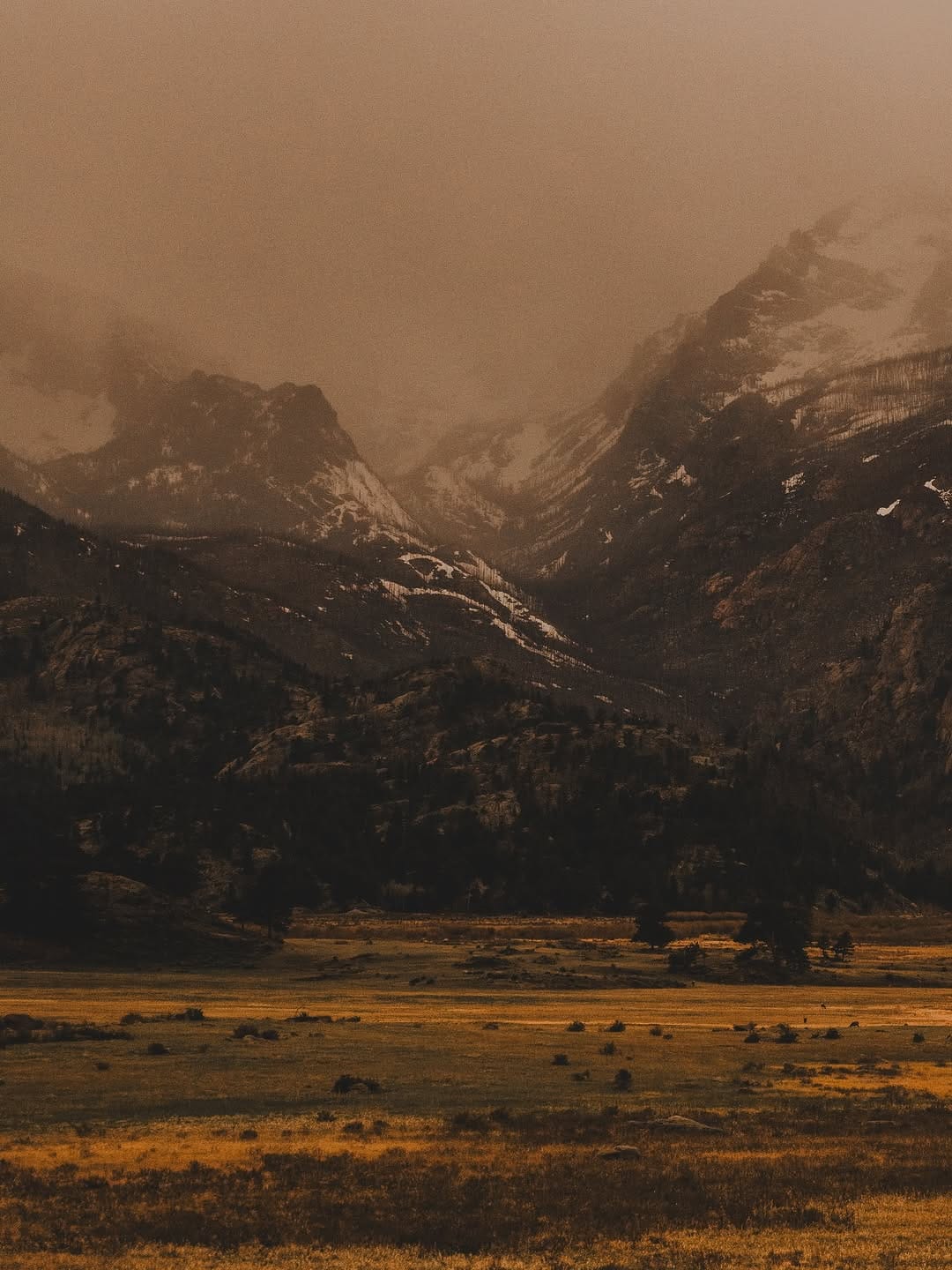 Post 3 by Nate Wickham on Instagram (image)