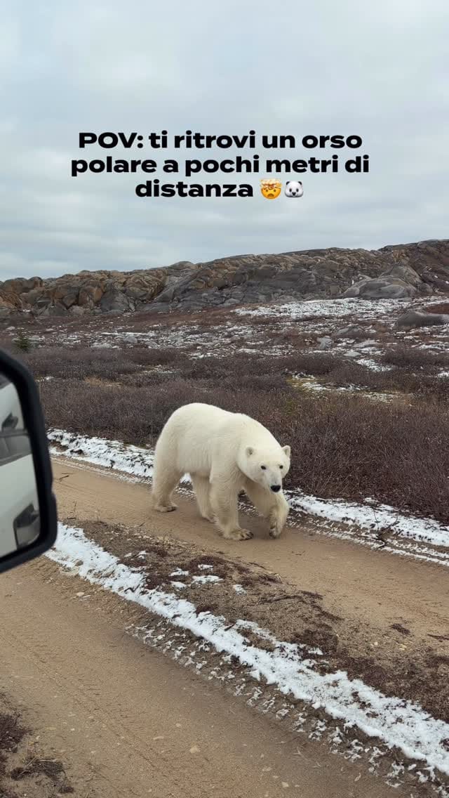 Post 5 by Denise Benazzato🌙Travel Content Creator on Instagram (video)