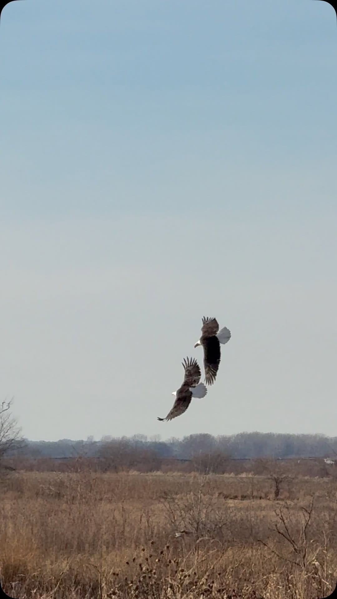 Post 3 by Molly Kuplen on Instagram (video)