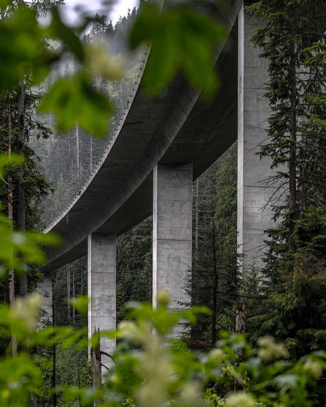 Post 3 by CT Allen on Instagram (image)