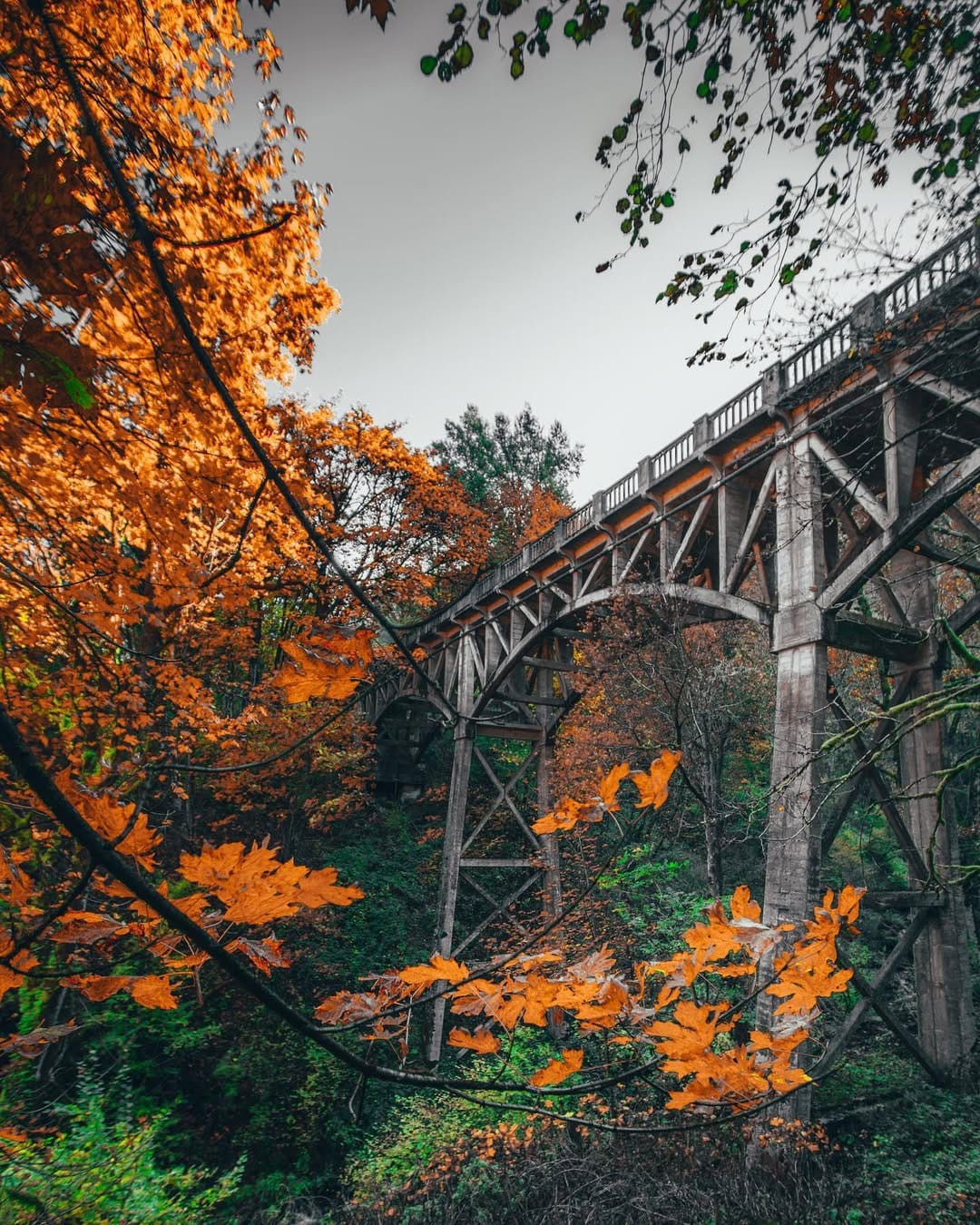 Post 4 by CT Allen on Instagram (image)