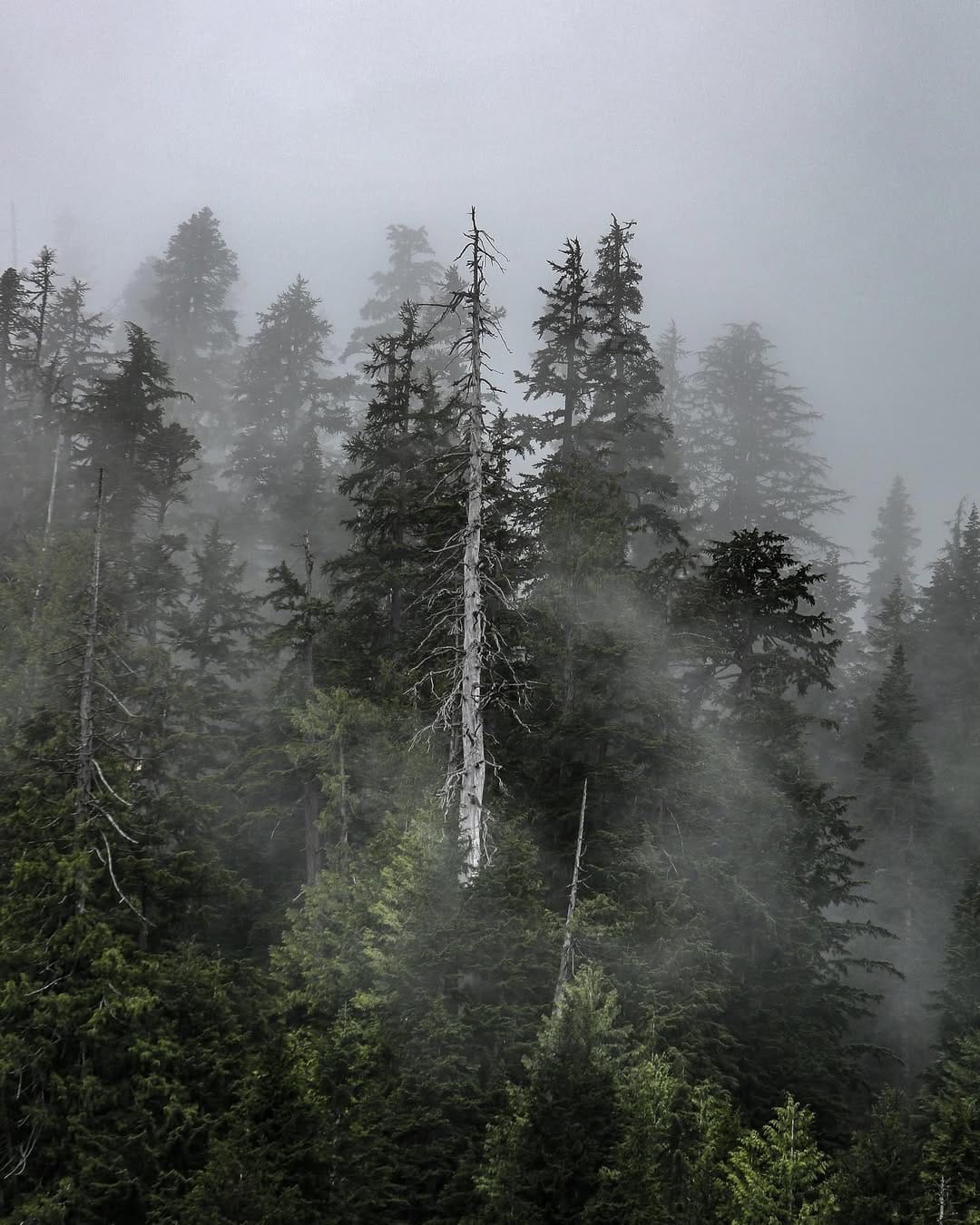 Post 1 by CT Allen on Instagram (image)