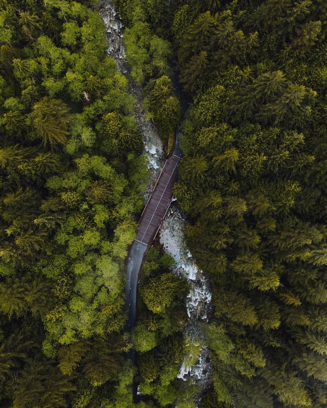 Post 2 by CT Allen on Instagram (image)