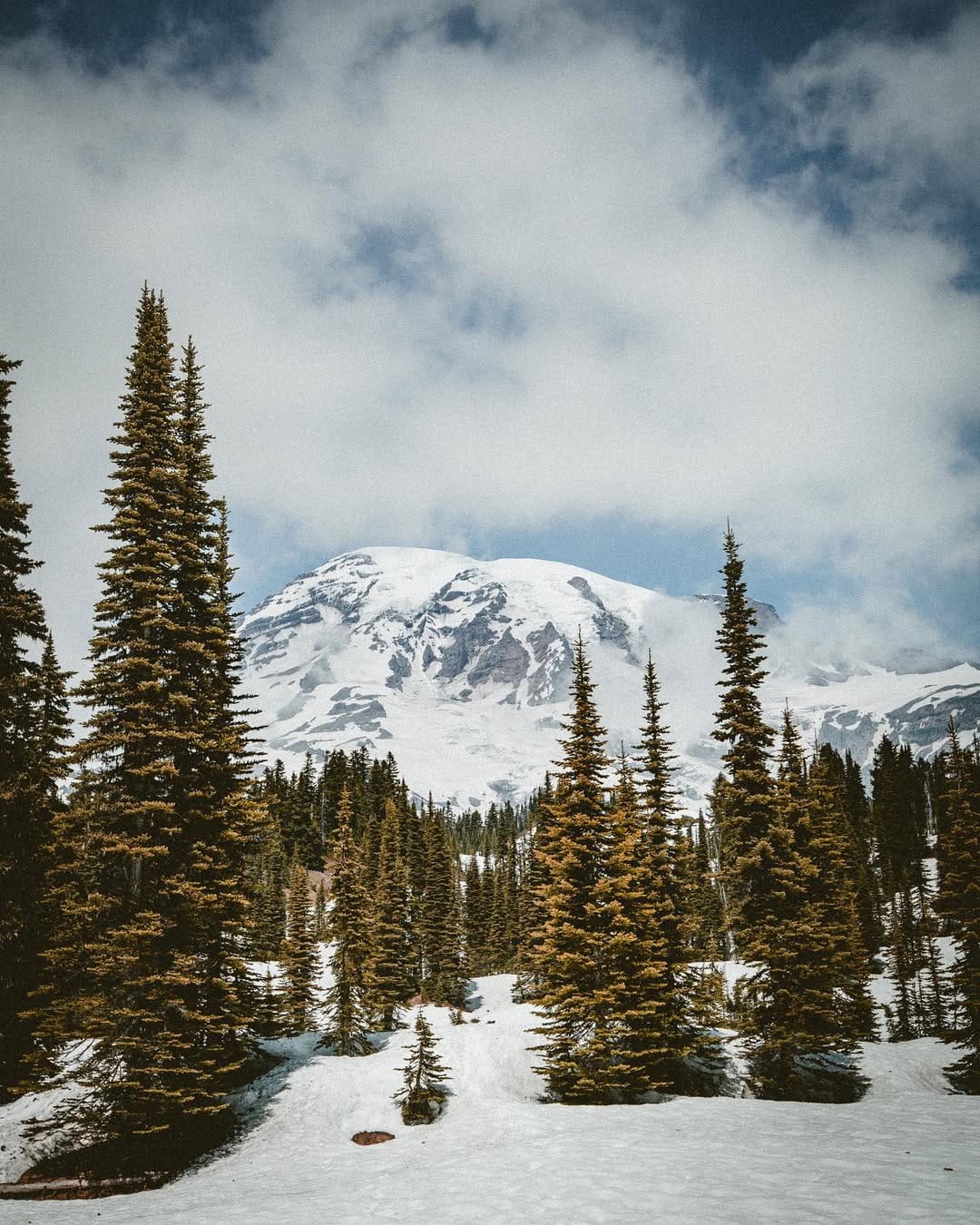 Post 10 by CT Allen on Instagram (image)