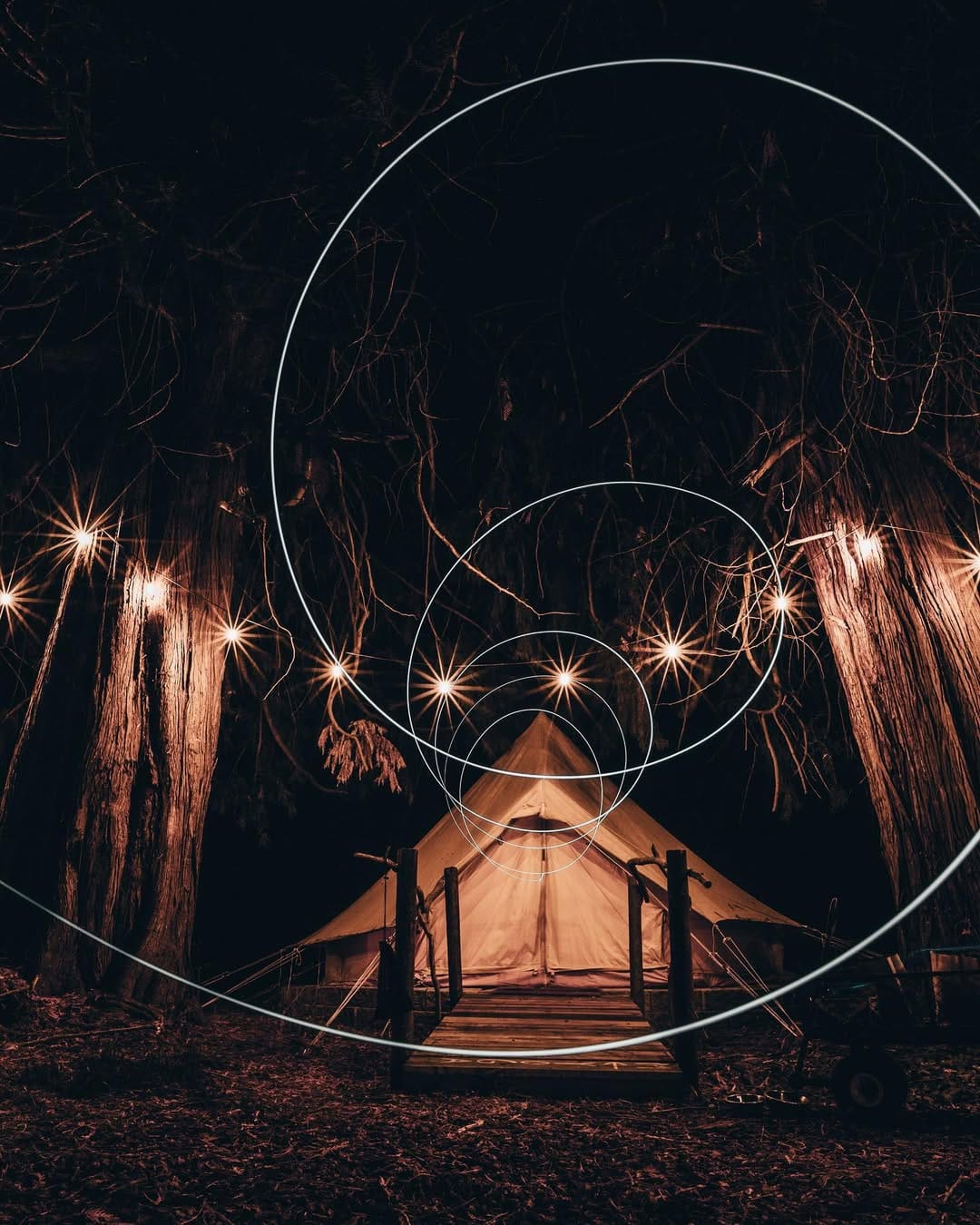 Post 5 by CT Allen on Instagram (image)