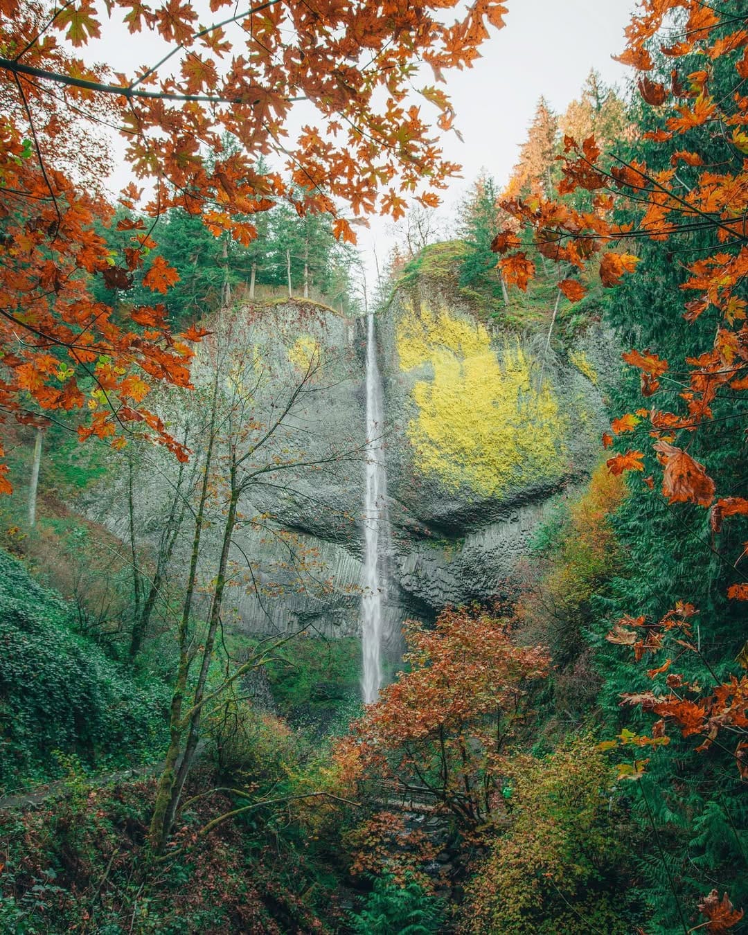 Post 6 by CT Allen on Instagram (image)