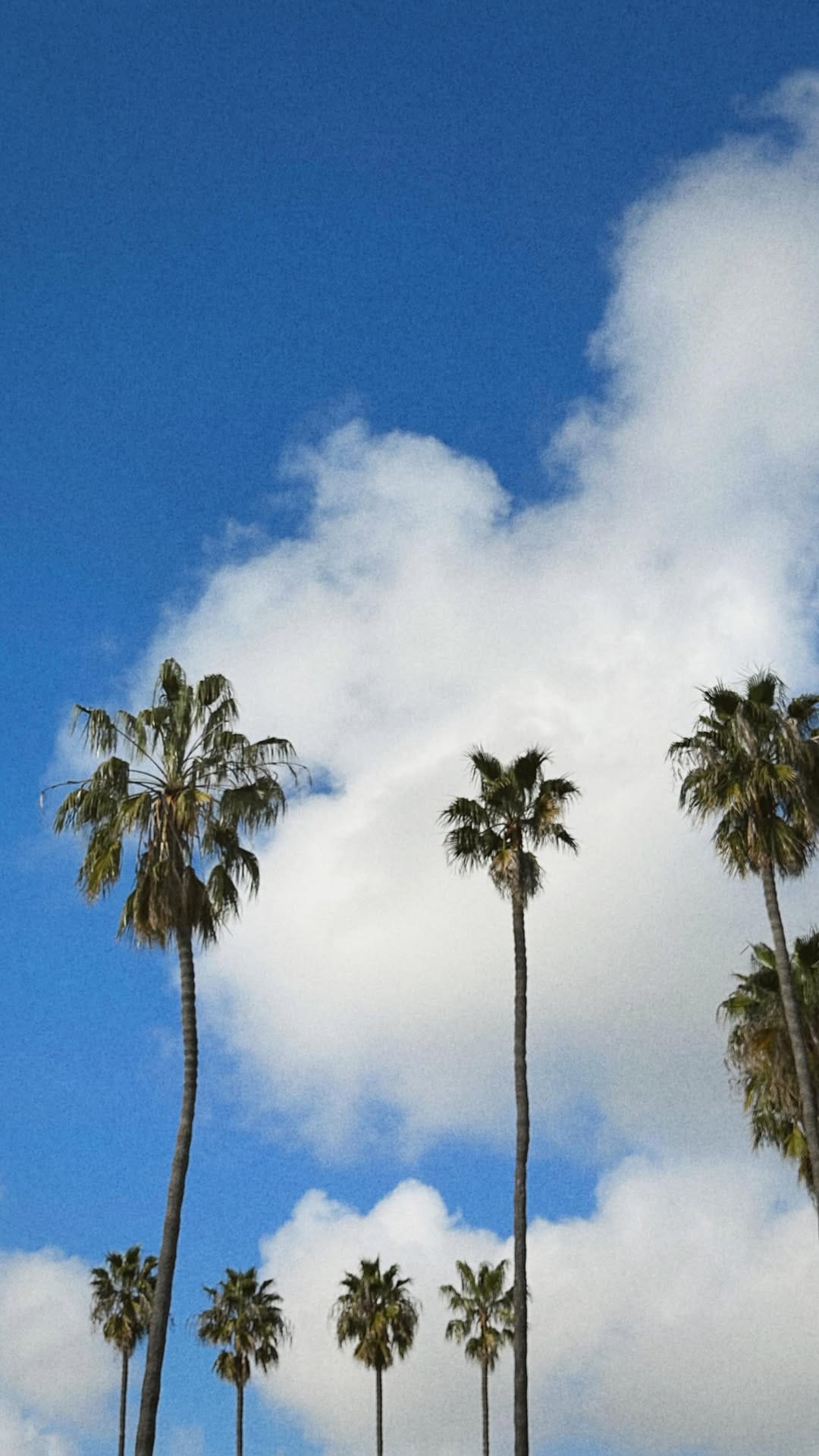 Post 10 by raea tanielu | content creator on Instagram (video)