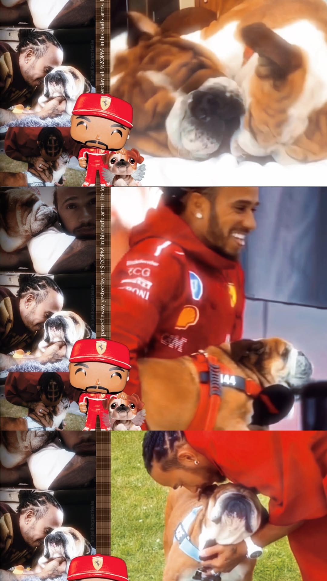Post 1 by Anjelika Gabrielle on Instagram (video)