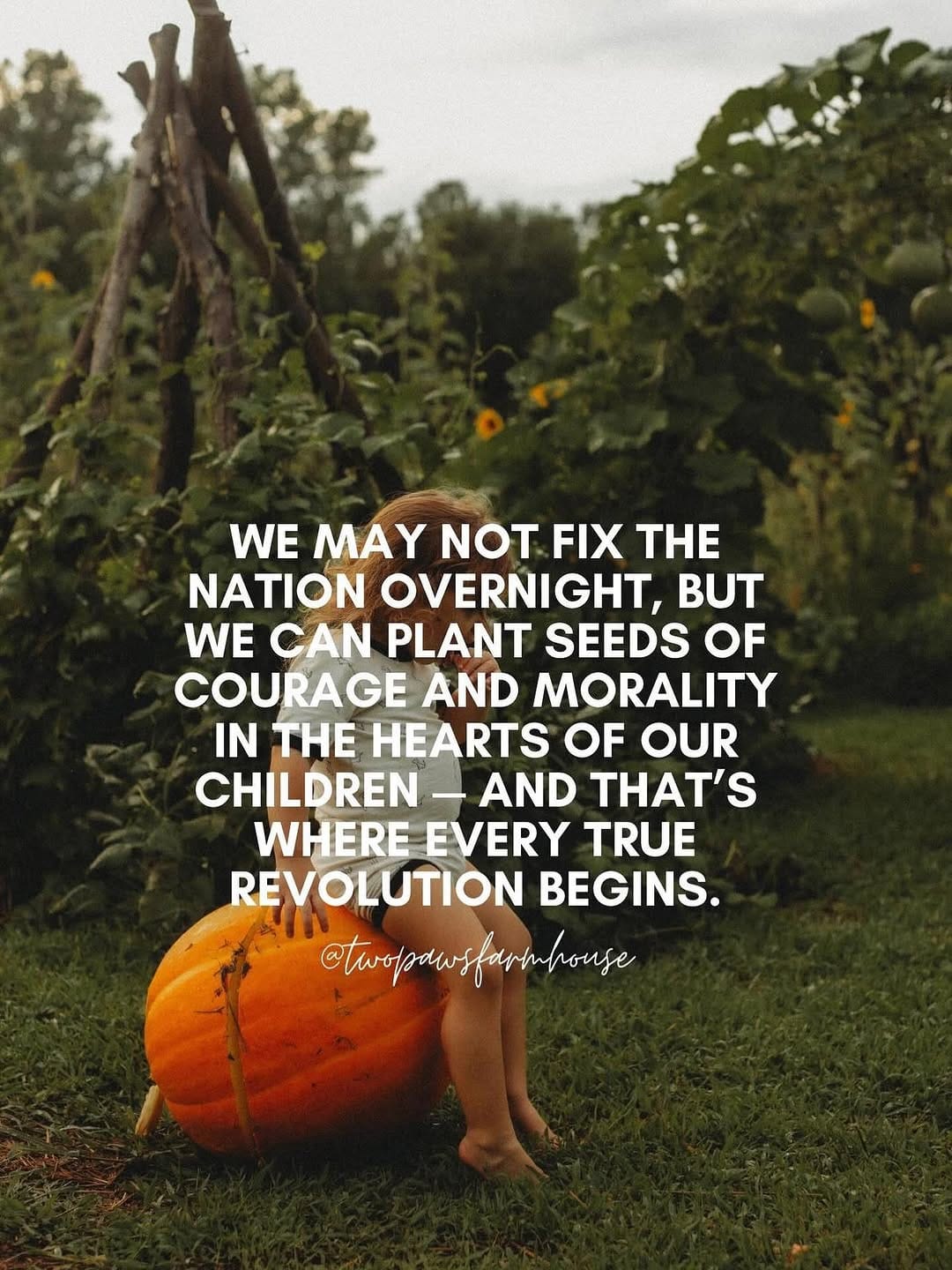 Post 8 by Kristi on Instagram (image)