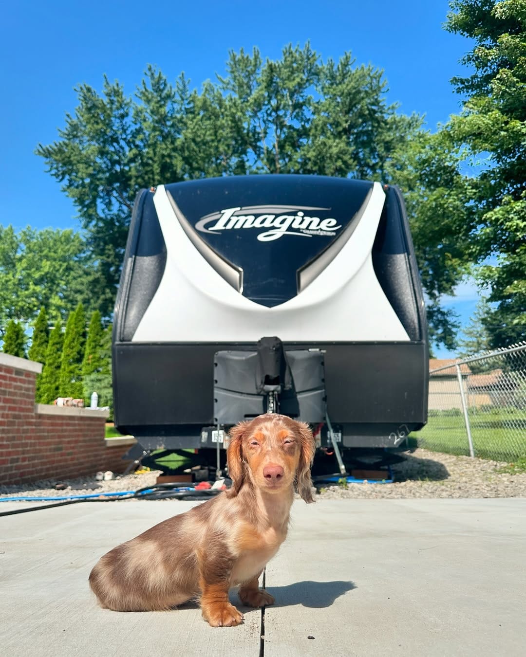 Post 10 by Turbo - The Traveling Wiener Dog 🌭✈️ on Instagram (image)