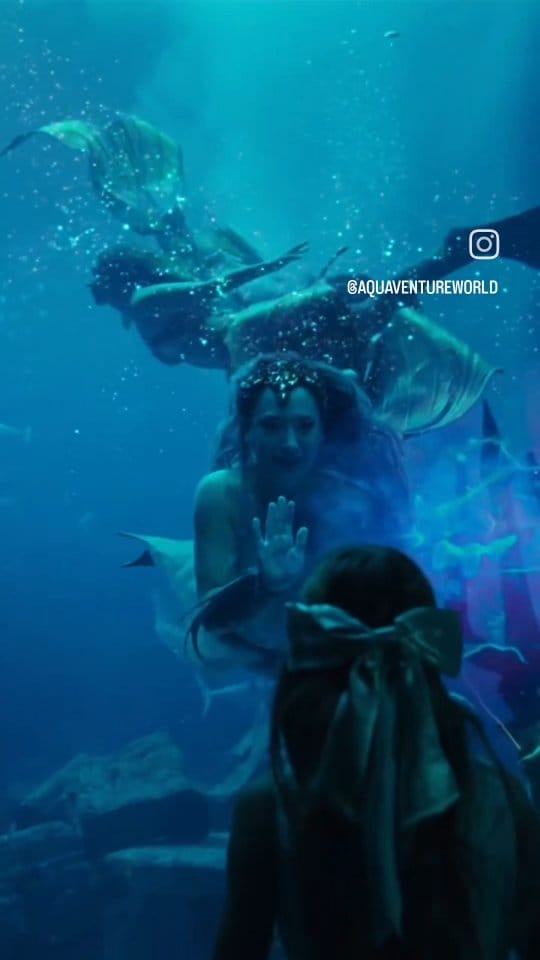 Post 3 by 𝑯𝒆𝒂𝒕𝒉𝒆𝒓 𝑴𝒆𝒓𝒎𝒂𝒊𝒅 on Instagram (video)