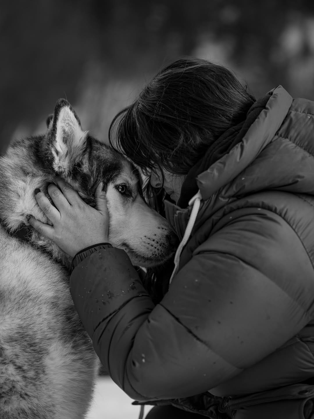 Post 9 by Kylee, Choji, and Nymeria on Instagram (carousel)