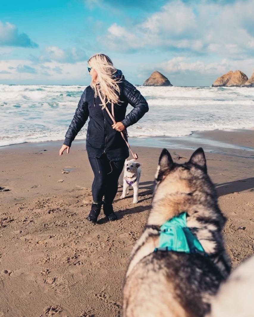 Post 10 by Kylee, Choji, and Nymeria on Instagram (image)