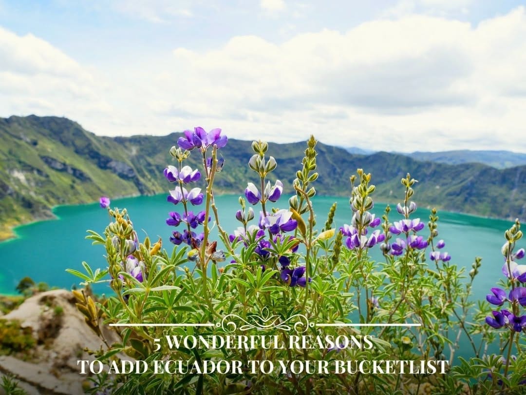 Post 9 by 🌎 Carrie Cochran | Travel & Adventure Blogger on Instagram (carousel)