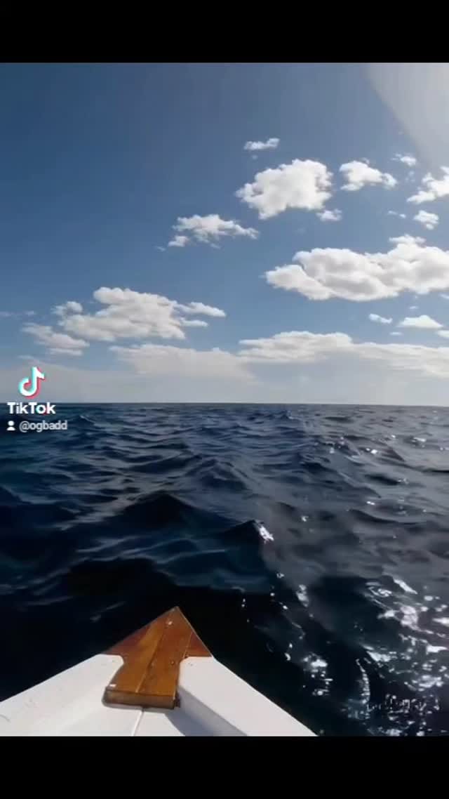 Post 5 by Johanna Hernandez on Instagram (video)