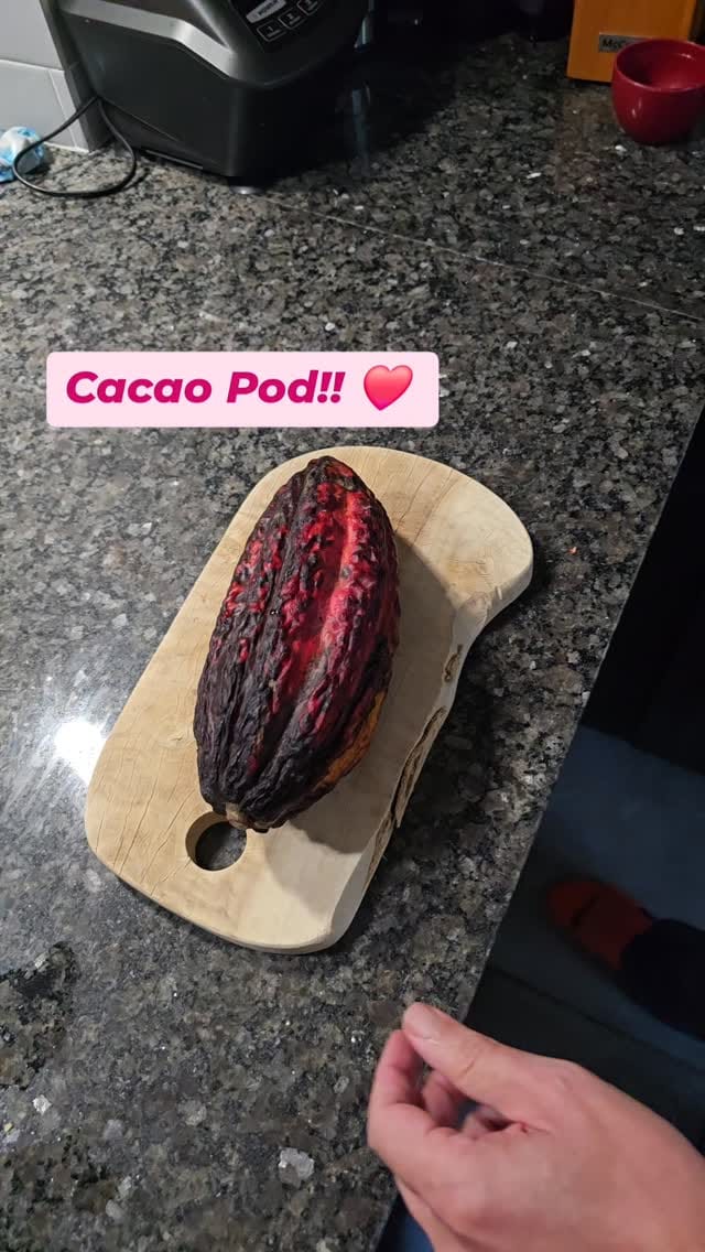 Post 3 by Niko & Oana | Travel + Lifestyle + Food on Instagram (video)