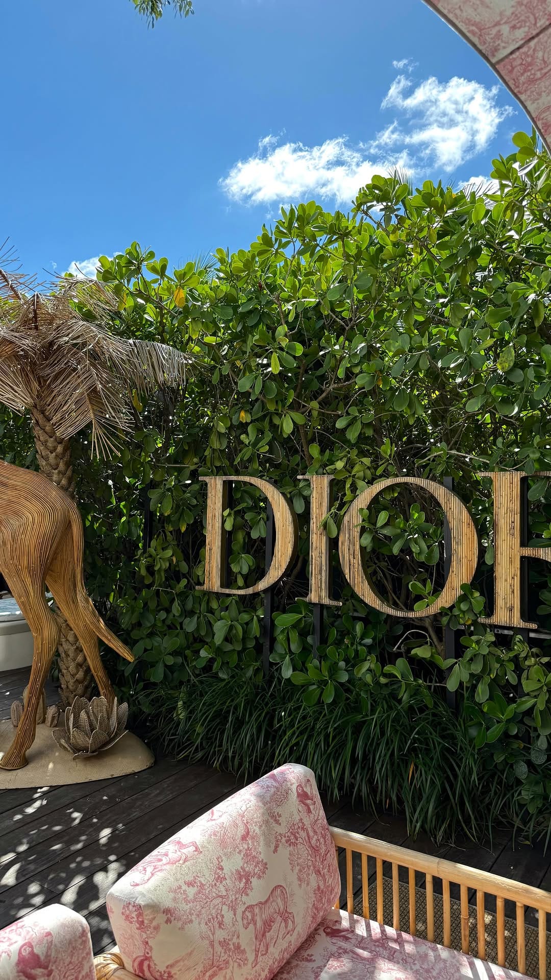 Post 1 by D A N I E L A 🐆 on Instagram (video)