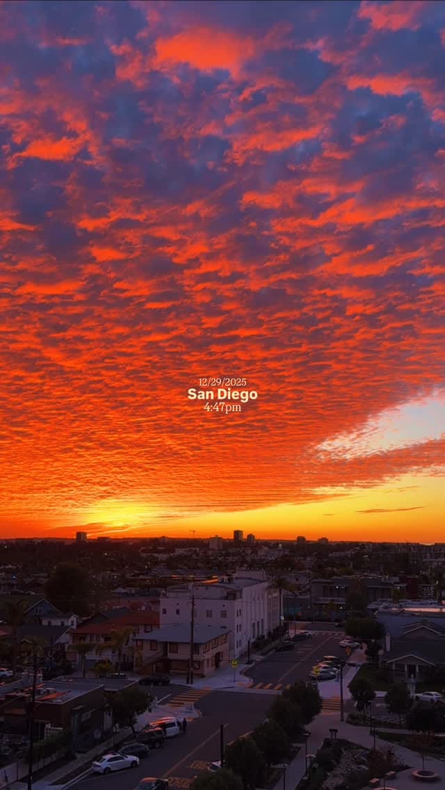 Post 7 by Lex | Travel + Life | San Diego on Instagram (video)