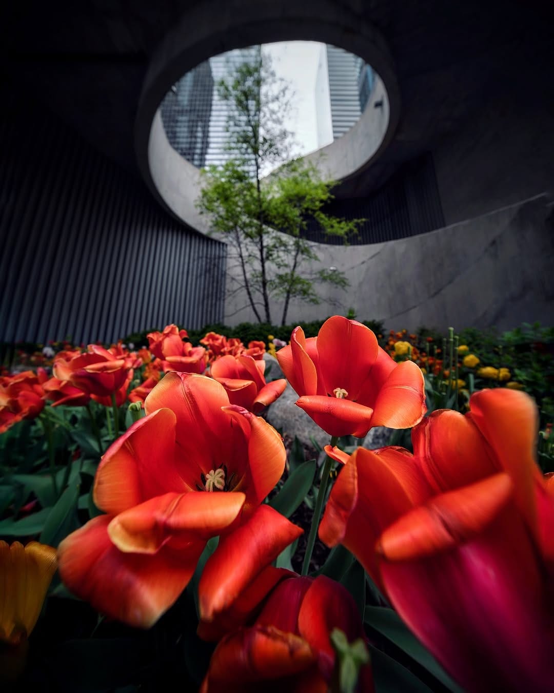 Post 3 by Mike Kremel • Chicago Based on Instagram (image)
