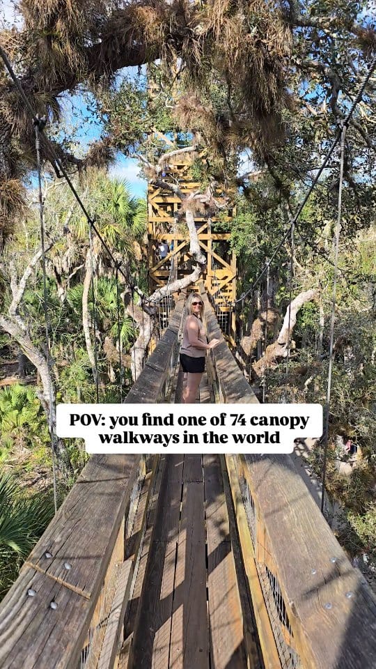 Post 5 by Laura - World Travel | Gluten Free Eats on Instagram (video)