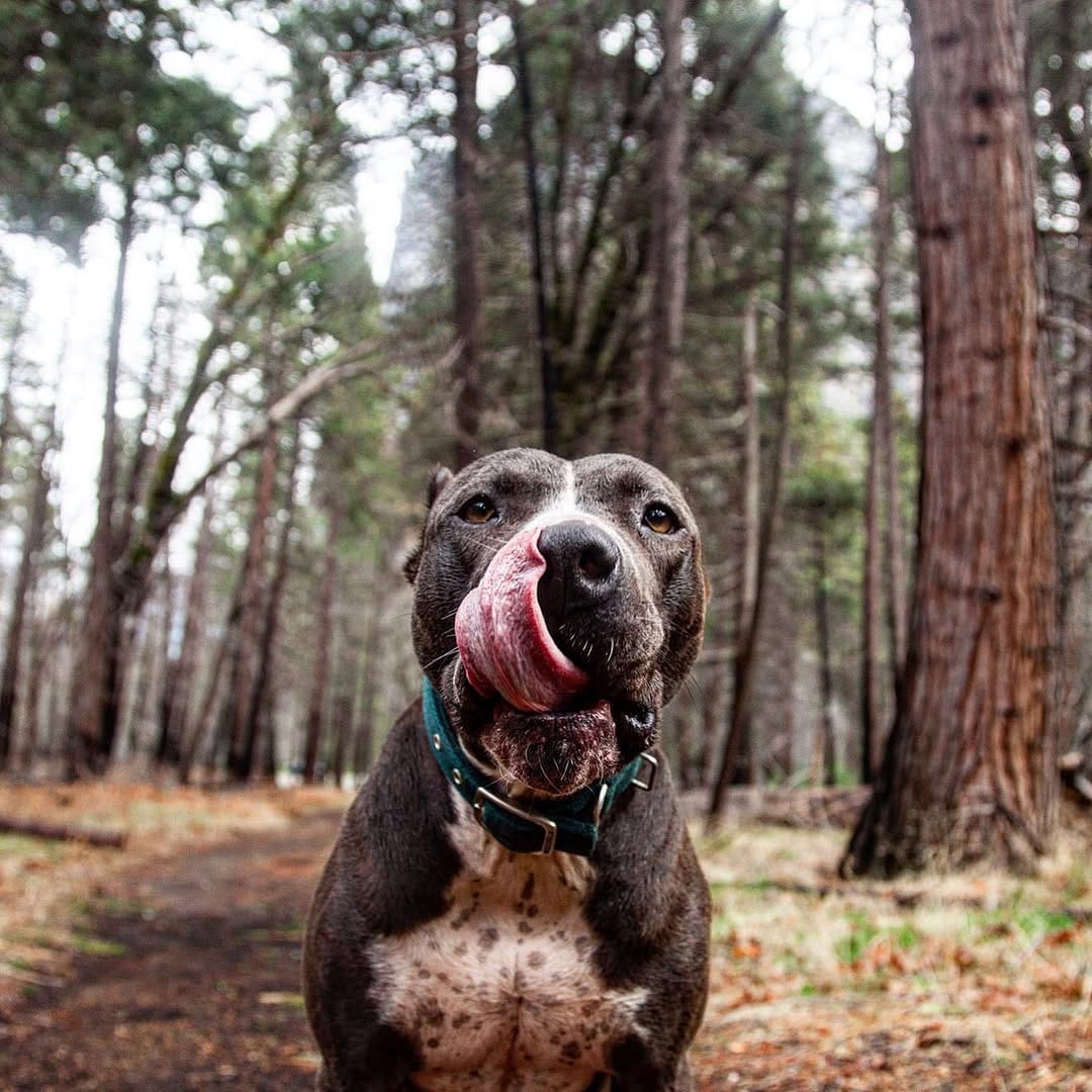 Post 2 by Luke Barton on Instagram (image)