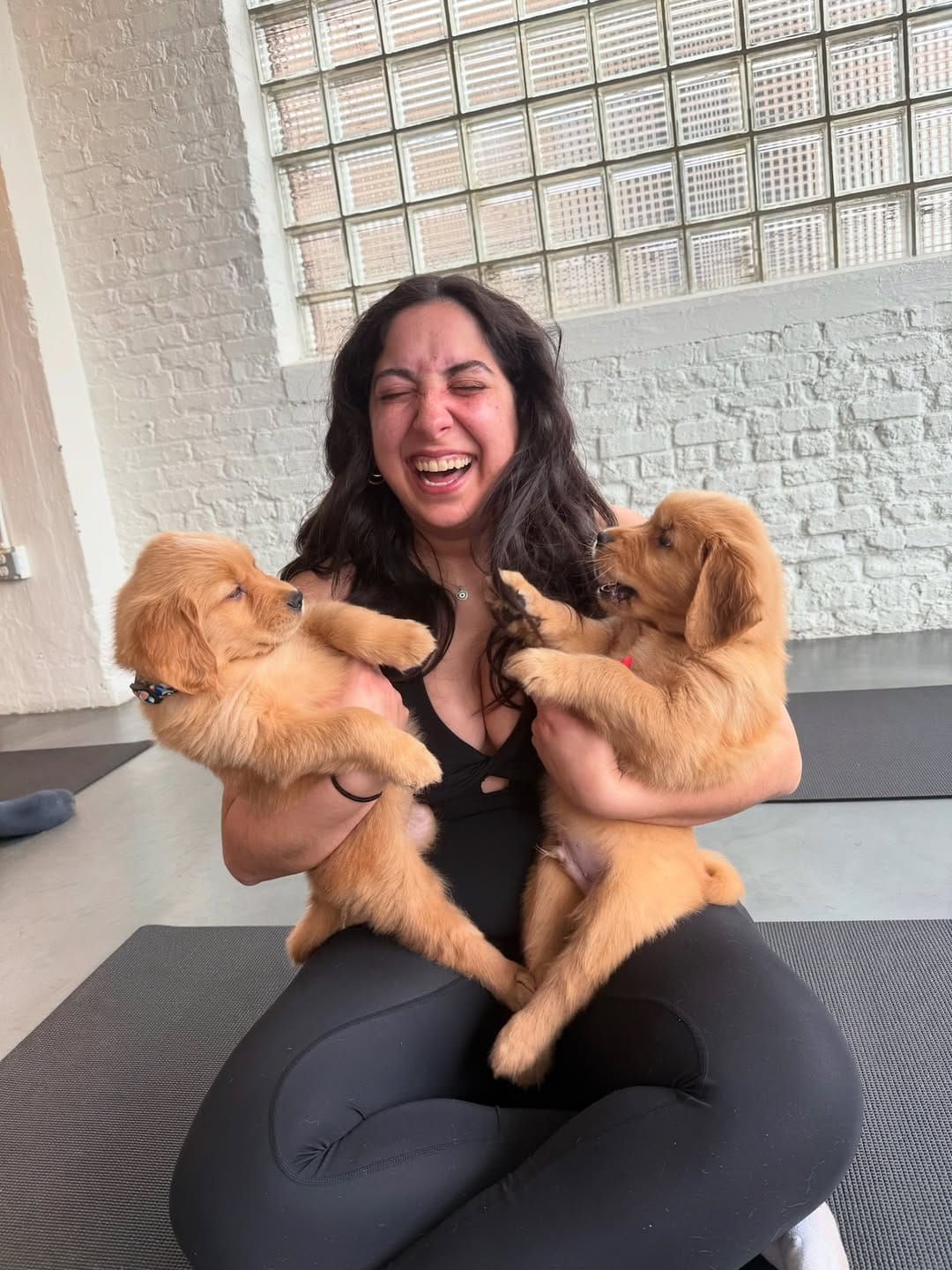 Post 2 by Enzo 🐶 + Ellie 👩🏻 on Instagram (carousel)