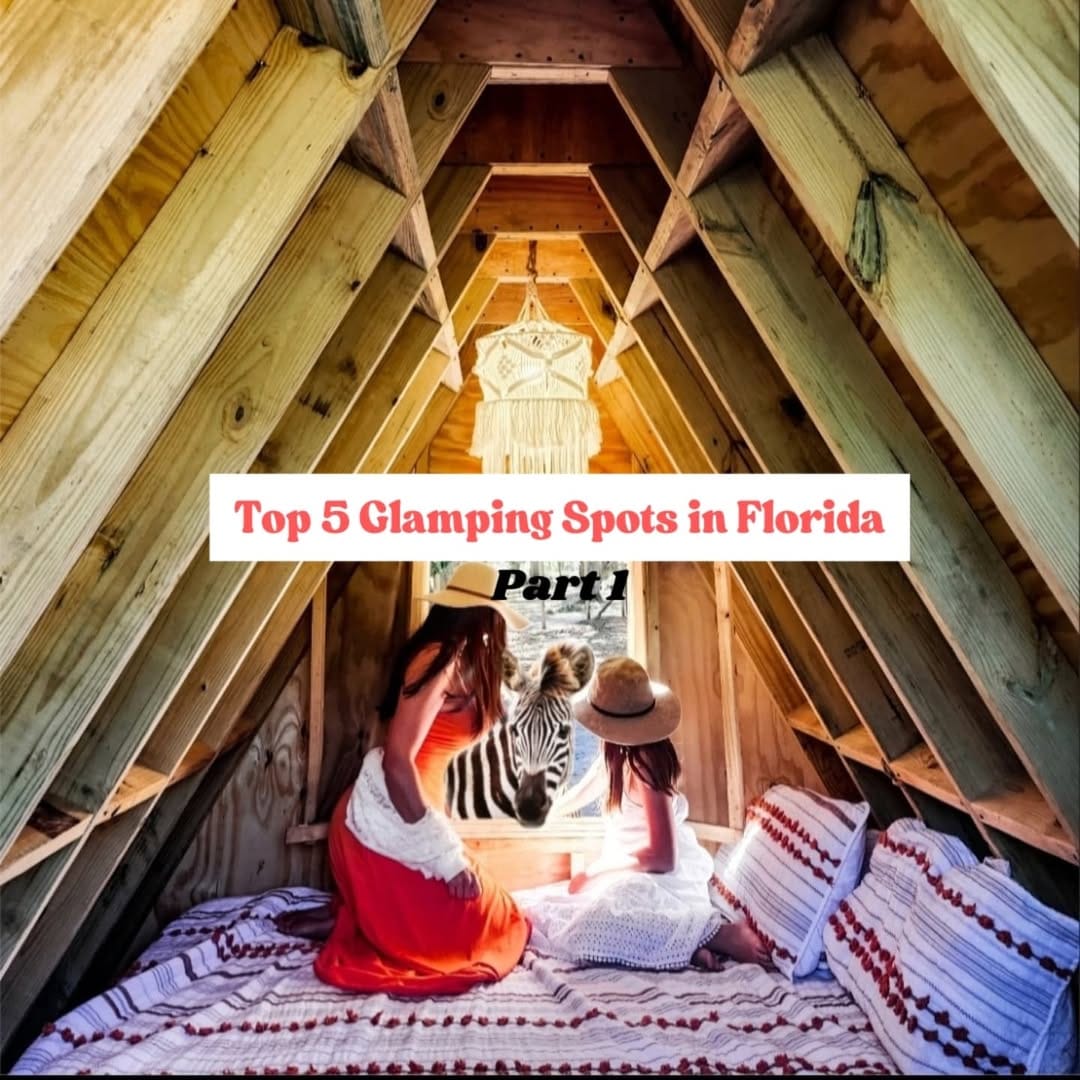 Post 9 by Shakti | Florida Travel Guide 🌞 🌎 on Instagram (carousel)
