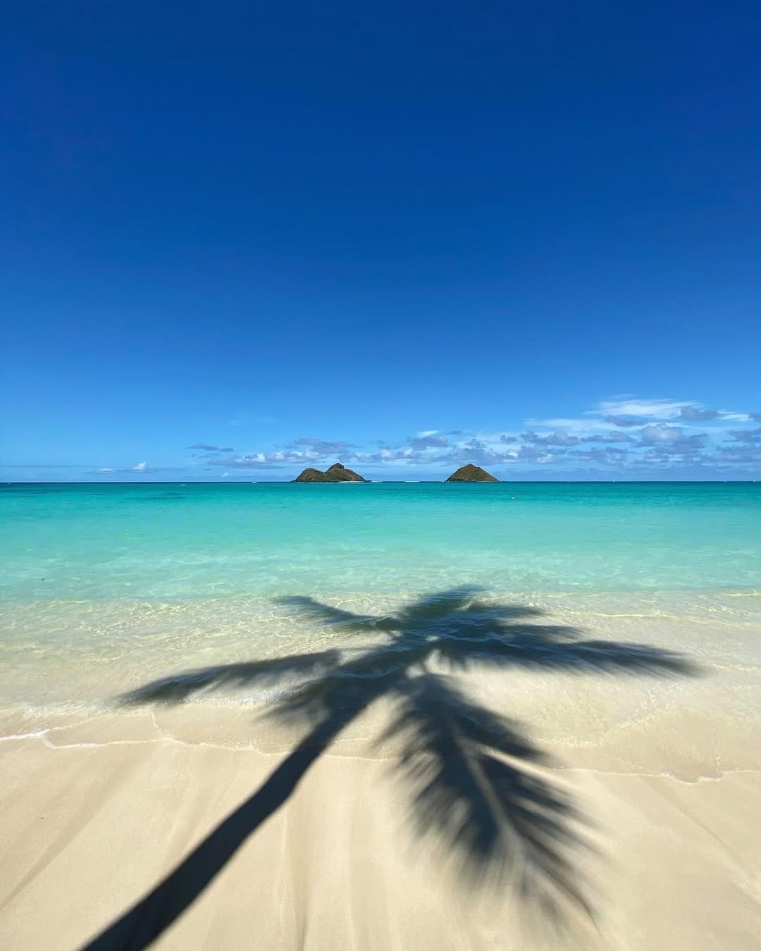 Post 2 by Coco - Hawaii on Instagram (image)