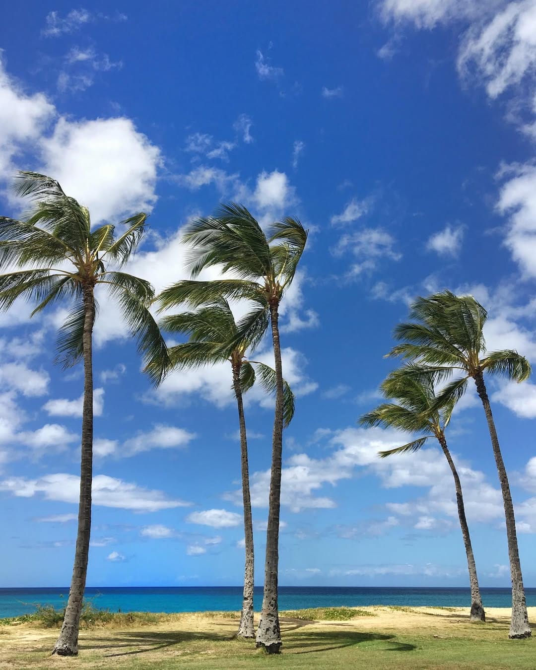 Post 10 by Coco - Hawaii on Instagram (image)