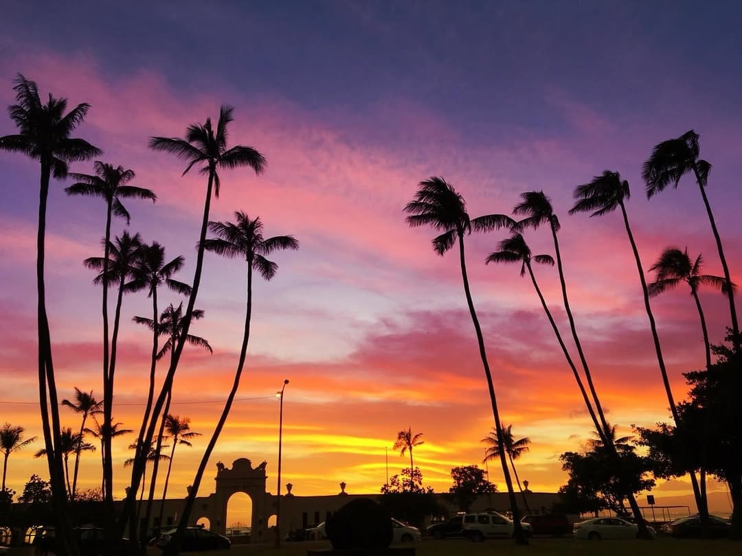 Post 1 by Coco - Hawaii on Instagram (image)
