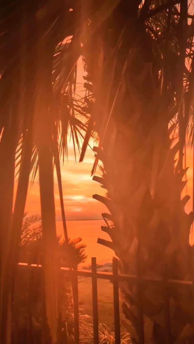 Post 2 by CYNTHIA'S TRAVEL BLOG: Nomads on Instagram (video)