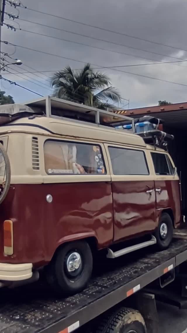 Post 4 by 𝕎𝕚𝕝𝕝𝕠𝕨, 𝕃𝕖𝕖, 𝔸𝕚𝕞𝕖𝕖 & 𝕃𝕖𝕩𝕚 on Instagram (video)