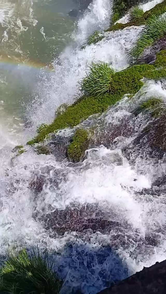Post 3 by 𝕎𝕚𝕝𝕝𝕠𝕨, 𝕃𝕖𝕖, 𝔸𝕚𝕞𝕖𝕖 & 𝕃𝕖𝕩𝕚 on Instagram (video)