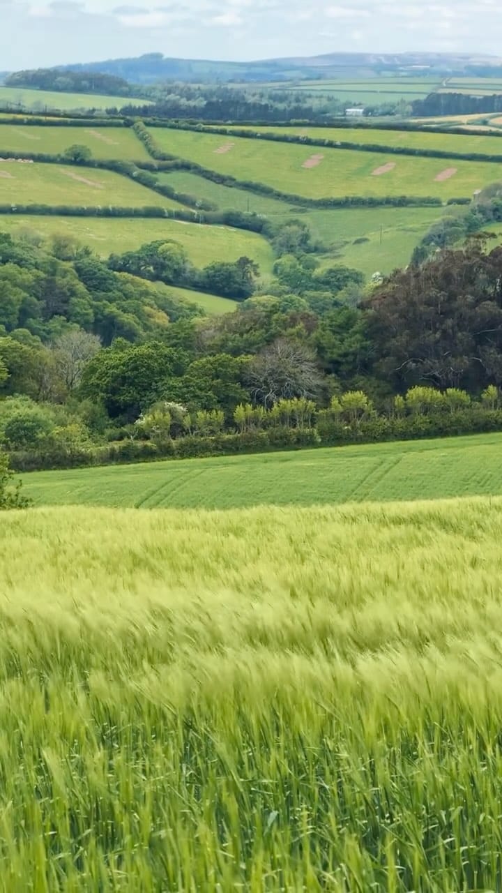 Post 8 by Annie Maguire on Instagram (video)