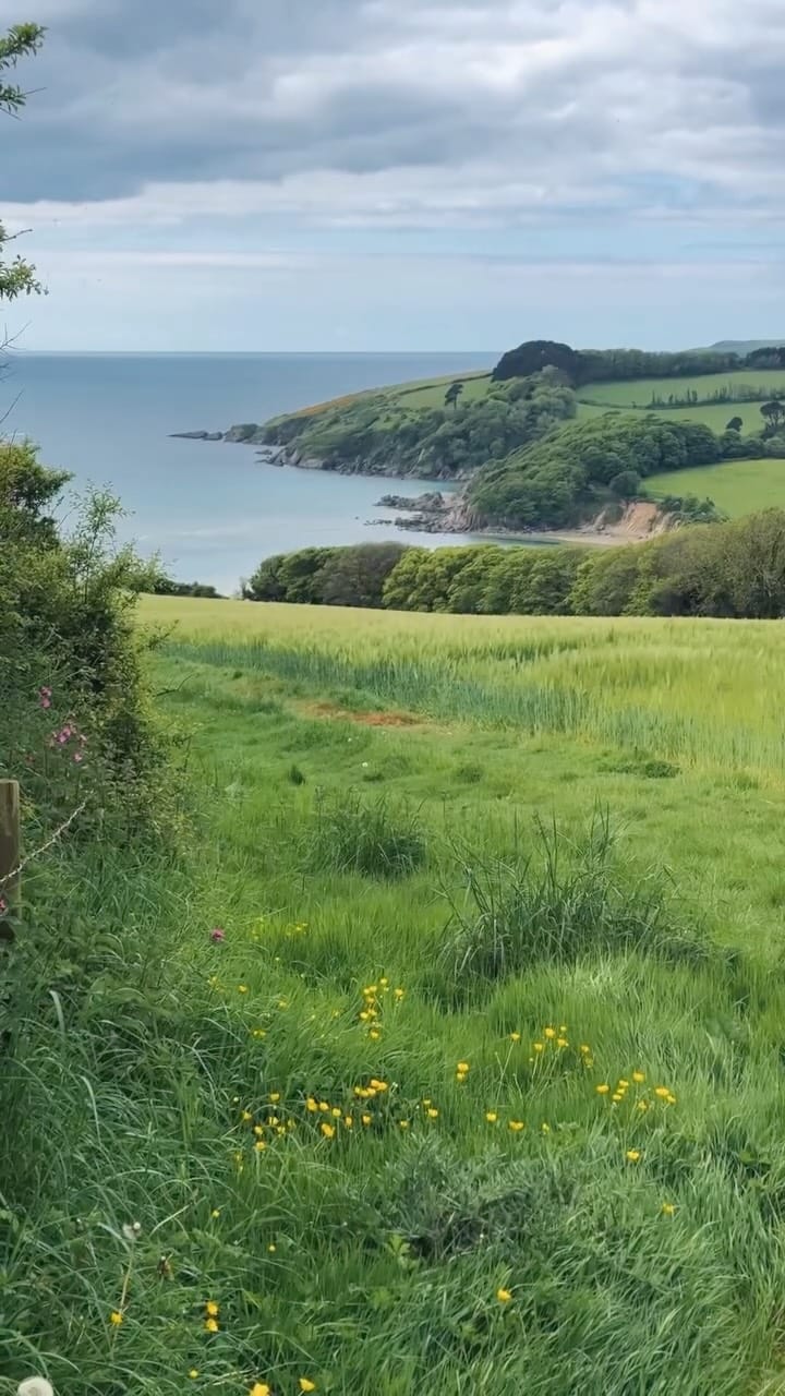 Post 5 by Annie Maguire on Instagram (video)
