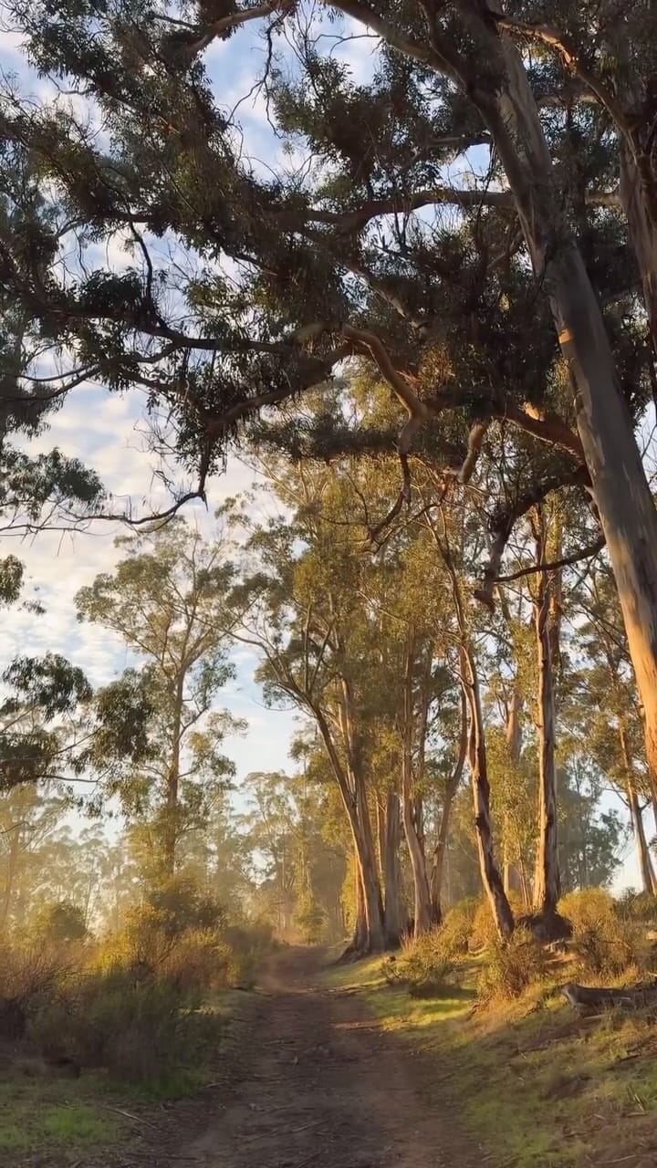 Post 3 by Annie Maguire on Instagram (video)
