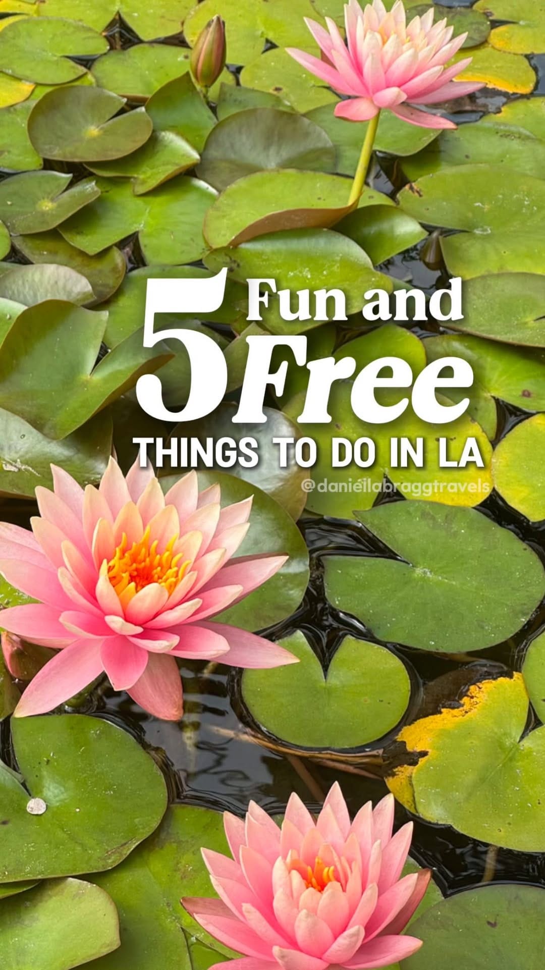 Post 10 by Daniella Bragg | Travel Tips + Recommendations on Instagram (video)