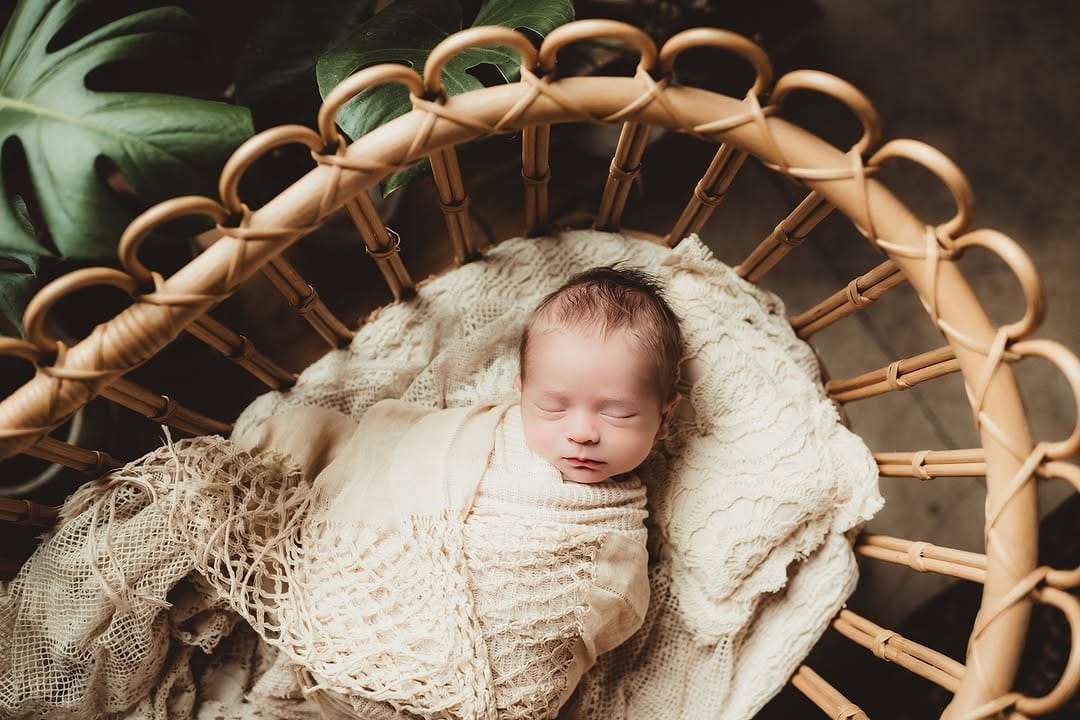 Post 10 by Twig & Olive Photography on Instagram (image)
