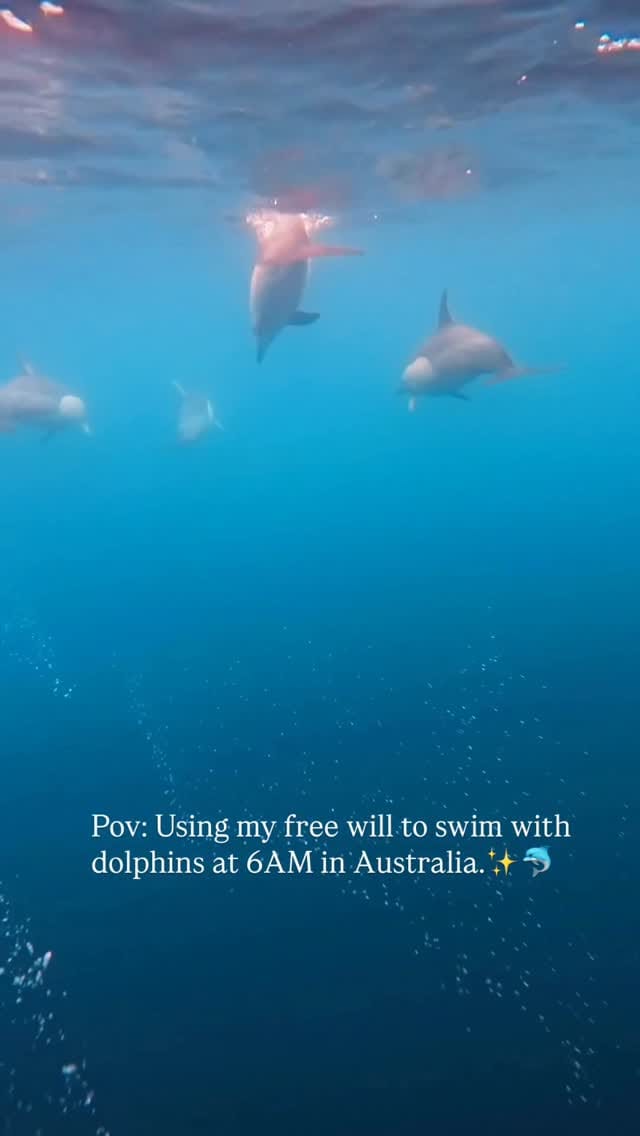 Post 4 by Carissa Boston | Travel Content Creator on Instagram (video)