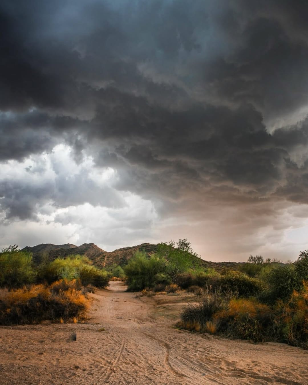 Post 2 by @cassyarchphotography on Instagram (image)