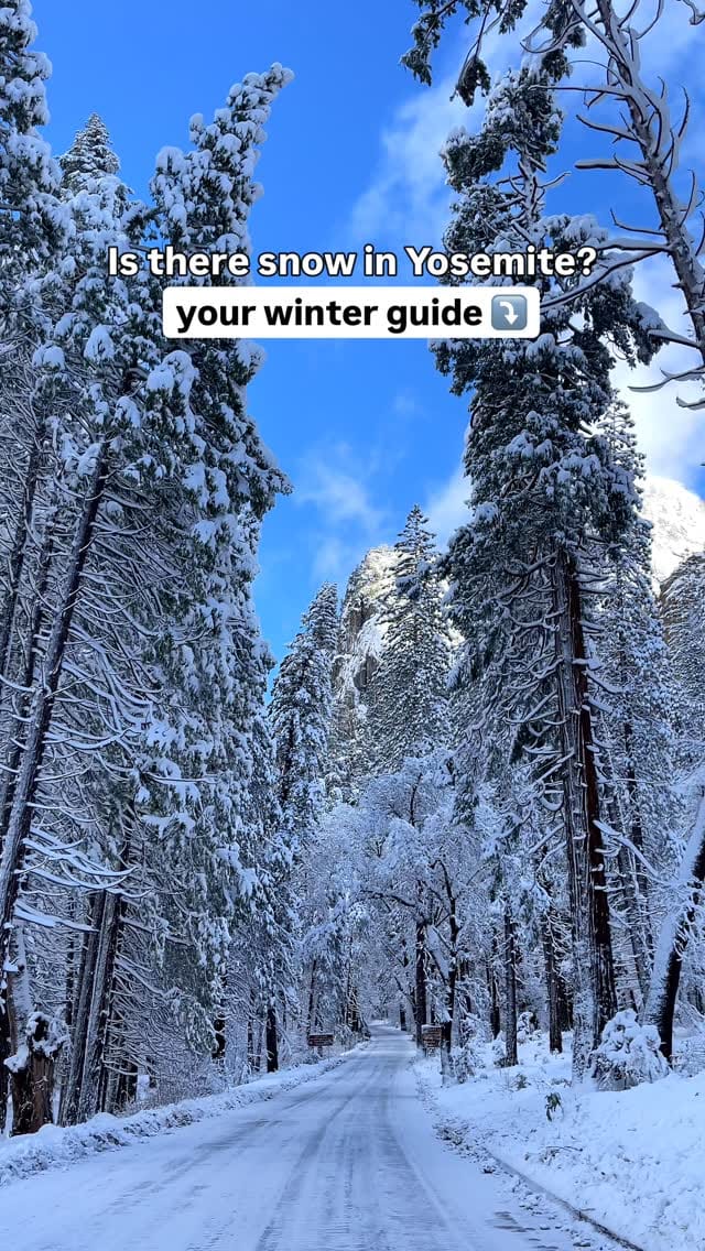 Post 9 by Jeanine Romo | California | Adventure Travel on Instagram (video)