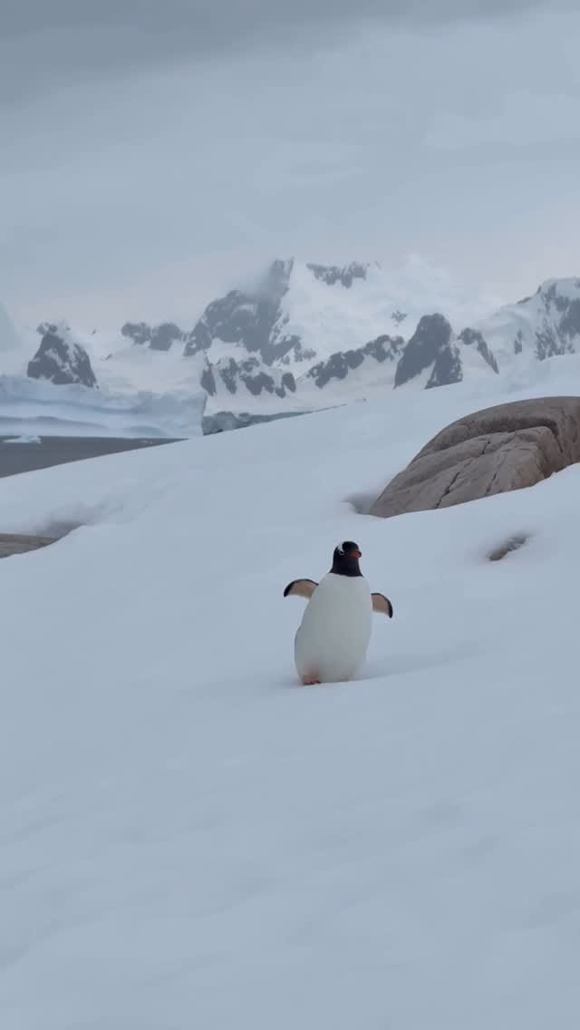 Post 1 by Dianne Elizabeth on Instagram (video)