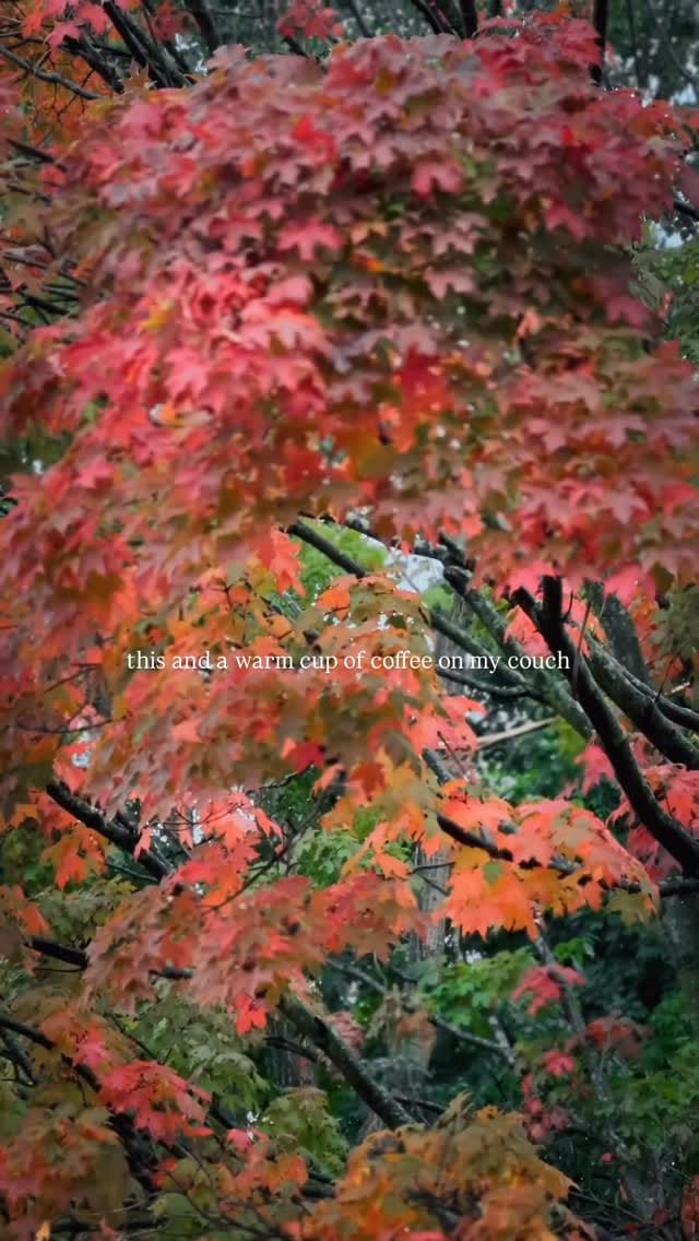 Post 10 by Dianne Elizabeth on Instagram (video)