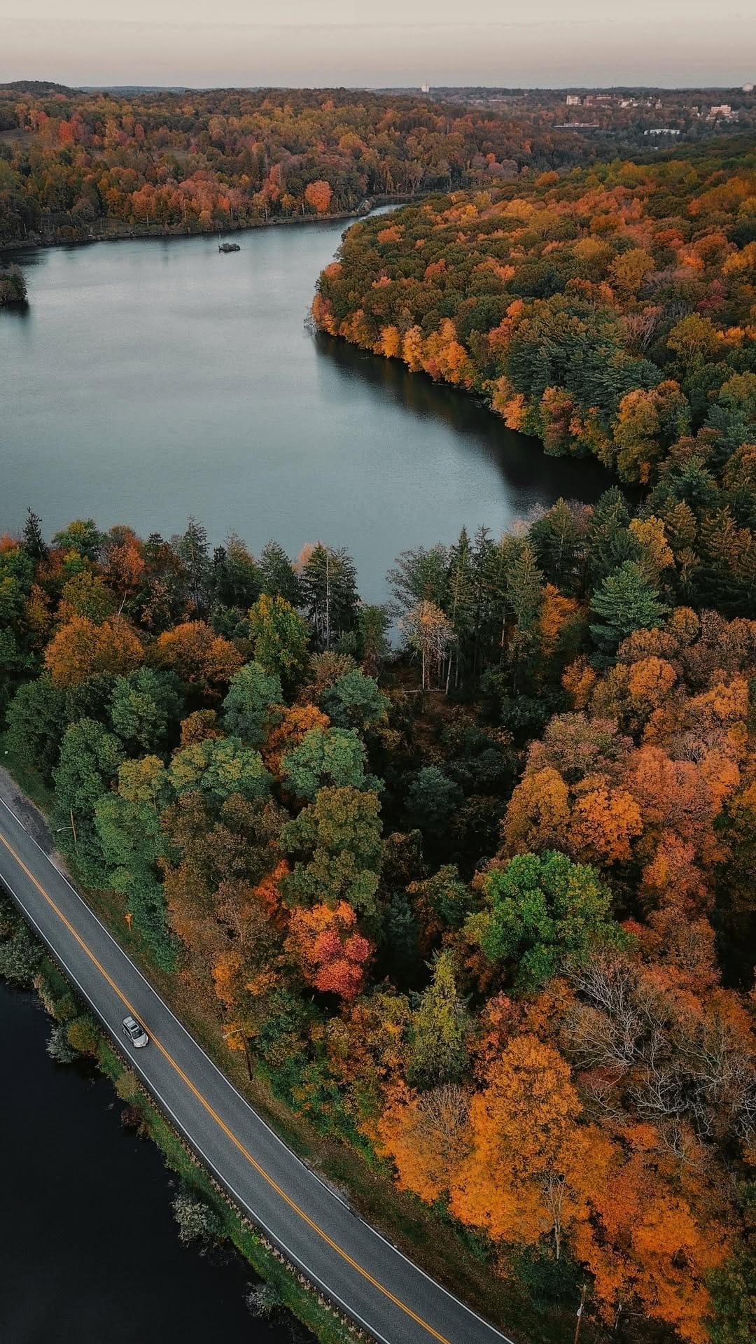 Post 8 by Dianne Elizabeth on Instagram (video)
