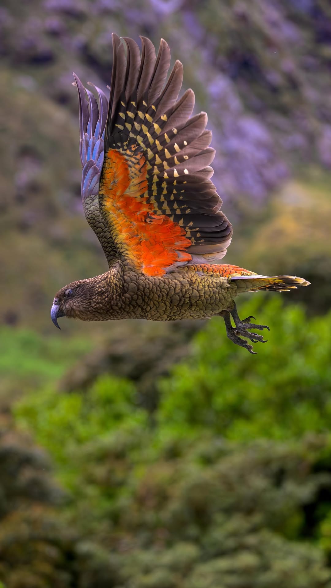 Post 6 by Nishat & Musa | Adventure Travel Photographers on Instagram (video)