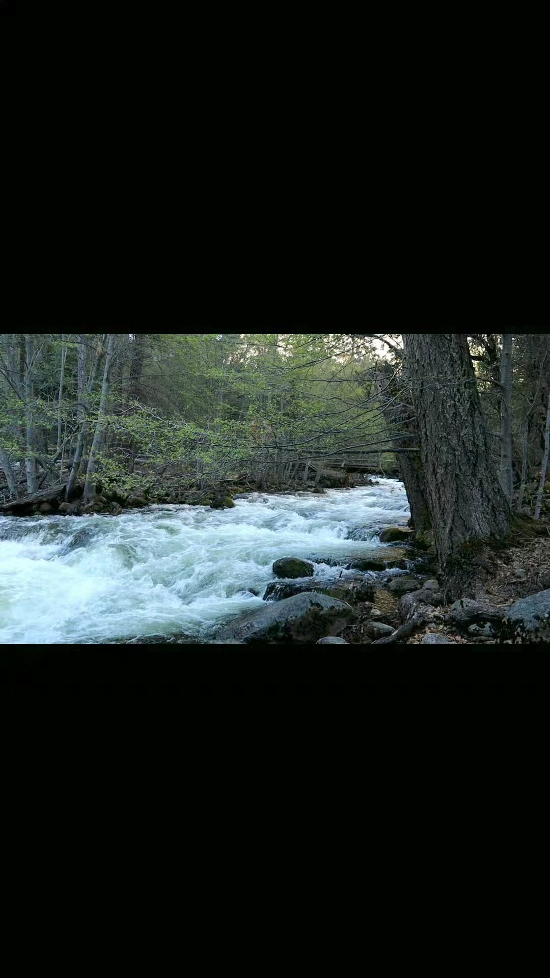 Post 8 by thomasmiller2393 on Instagram (video)